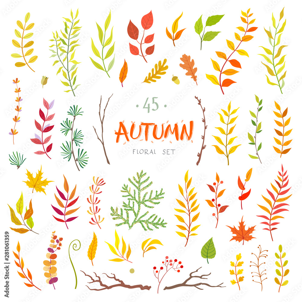 vector set of red autumn leaves and branches, hand drawn design elements vector set of red autumn leaves and branches, hand drawn design elements