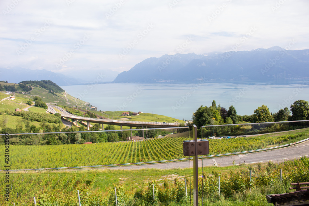 Vue sur le lac léman et les vignes en Suisse