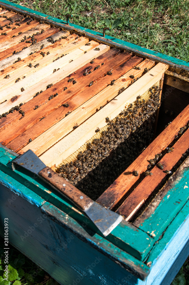 bee hive with bees on it for your design bee hive with bees on it for your design