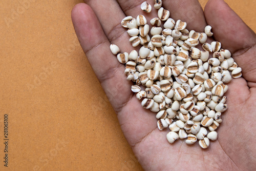 Picture of millet or job’s tears in hand is cereal and is food because it is used to advertise food. photo