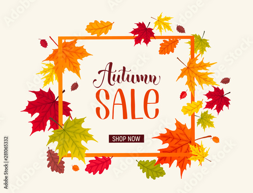 autumn sale design