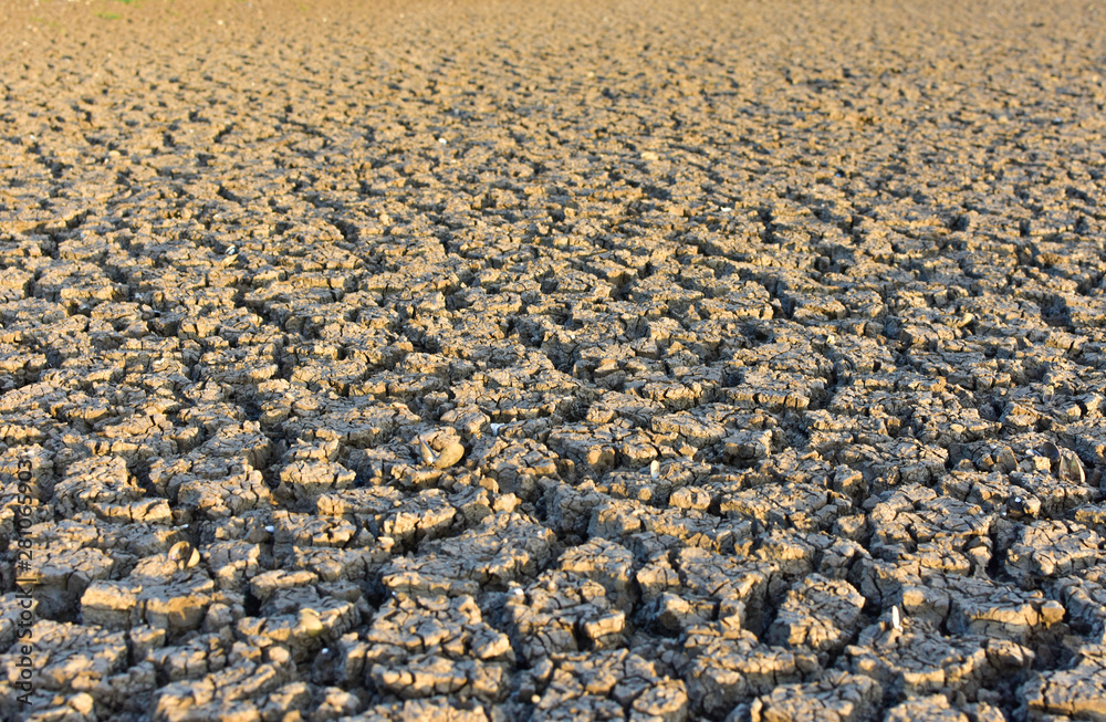 Cracked soil, Cracked soil from Thailand country Cracked soil, Cracked soil from Thailand country