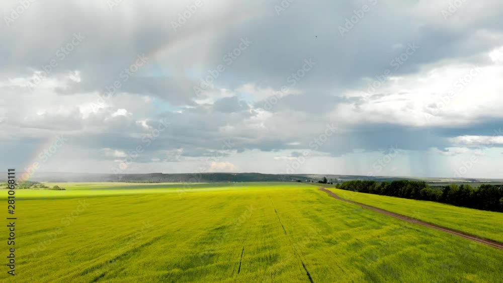 Flying over the yellow fields with a view of the rainbow. Sunny rainy summer day. Aerial photography from quadcopter Flying over the yellow fields with a view of the rainbow. Sunny rainy summer day. Aerial photography from quadcopter