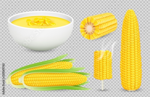 Vector corn collection. Realistic corn cobs isolated on transparent background. Fresh harvest, natural food. Illustration of corn realistic food, fresh vegetable