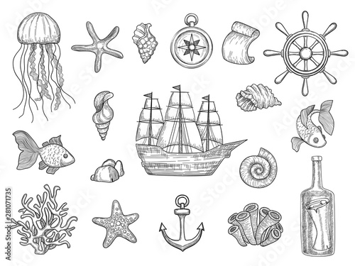 Marine symbols. Fish ship shells boats ocean symbols sailboat vector nautical collection. Illustration of boat, marine shell and anchor, fish and starfish