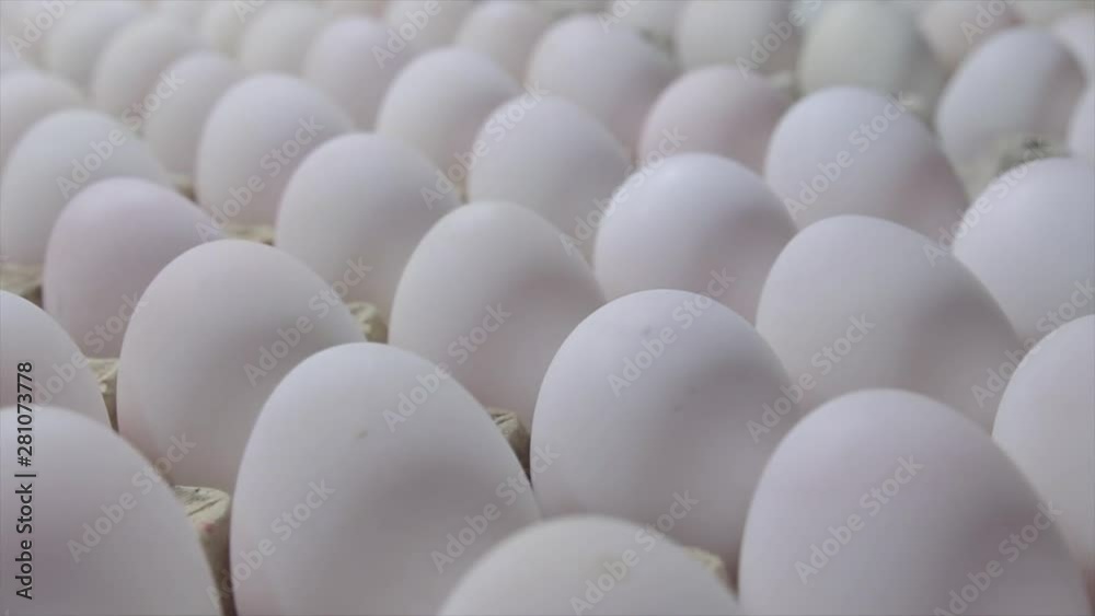 Duck eggs In cardboard box, Trays of duck eggs In a cardboard carton from duck farm Duck eggs In cardboard box, Trays of duck eggs In a cardboard carton from duck farm