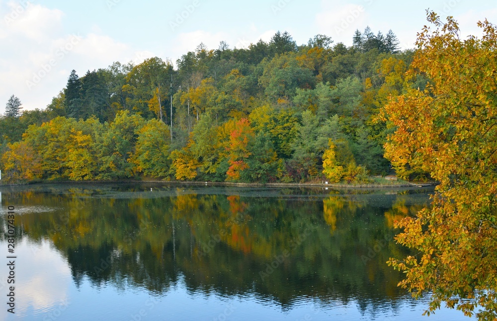 yellowish trees reflected in the water of the lake yellowish trees reflected in the water of the lake