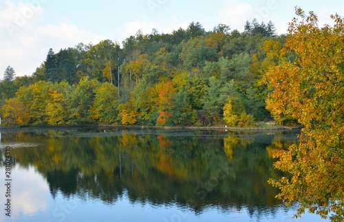 Fototapeta Naklejka Na Ścianę i Meble -  yellowish trees reflected in the water of the lake