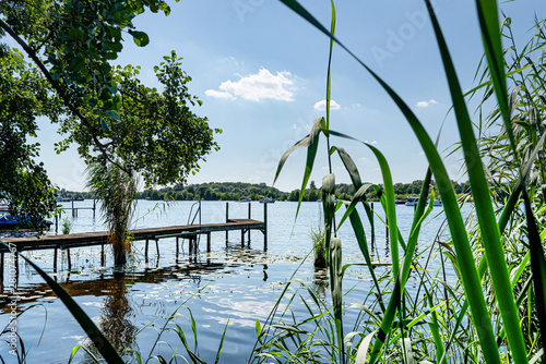Photography idyllic view of Havel river in Berlin with pier and reeds on riverbank under blu