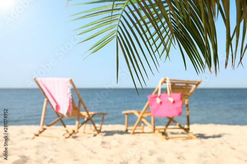 Blurred view of wooden sunbeds and beach accessories on sandy shore, focus on palm leaves