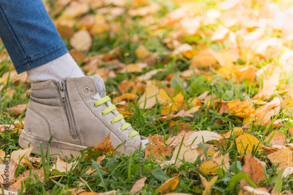 Leg of child with baby sneakers and green laces for running on yellow leaves on an autumn day.