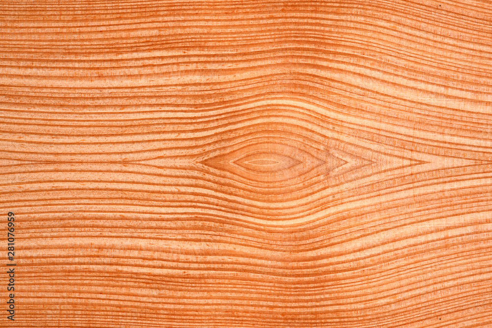 Naklejka premium cross section of various patterned trees