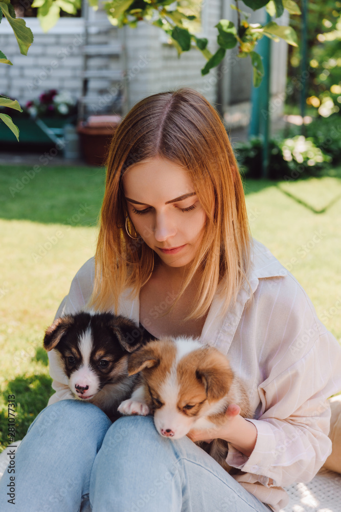 blonde girl in garden with adorable puppies at sunny day blonde girl in garden with adorable puppies at sunny day