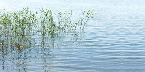 Wasser, Gras, Wohlbefinden, Symbol © Tatjana Balzer