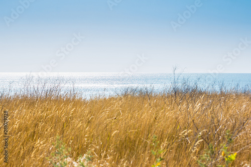  summer seascape with dry yellow grass and a cloudless sky