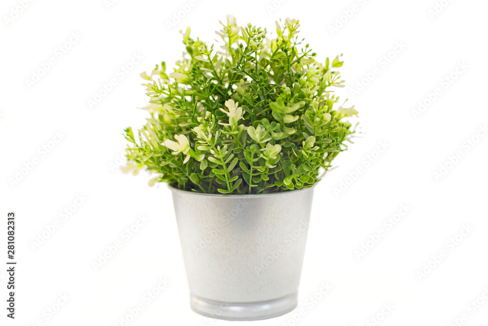 homemade green flowers in the gray pots, flowers in the kitchen interior on the window, succulents homemade green flowers in the gray pots, flowers in the kitchen interior on the window, succulents