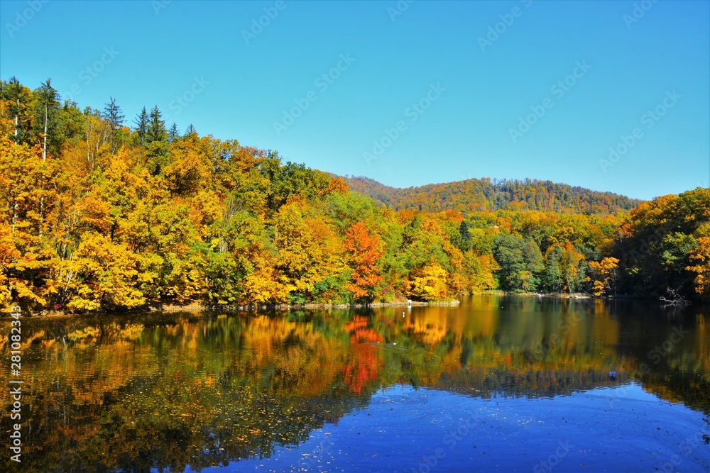 forest and lake in autumn
