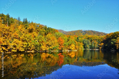 forest and lake in autumn