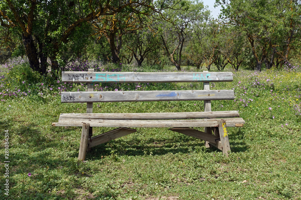wooden bench under trees
