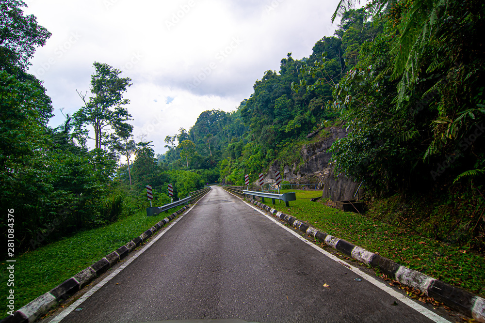 empty narrow bridge in the middle of tropical forest at Pahang, Malaysia empty narrow bridge in the middle of tropical forest at Pahang, Malaysia