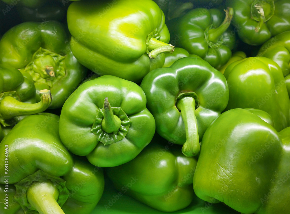 Fresh green paprika peppers farm harvest. Sweet green peppers capsicum background. Harvesting. Fresh green paprika peppers farm harvest. Sweet green peppers capsicum background. Harvesting.