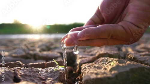 Reduce water to small trees on the barren land with our hands footage slow motion