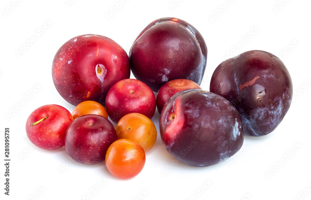 Couple plums of different varieties isolated on white background
