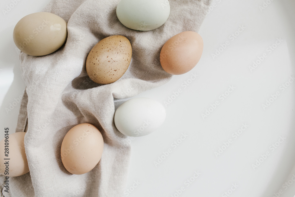 Colorful group of farm eggs