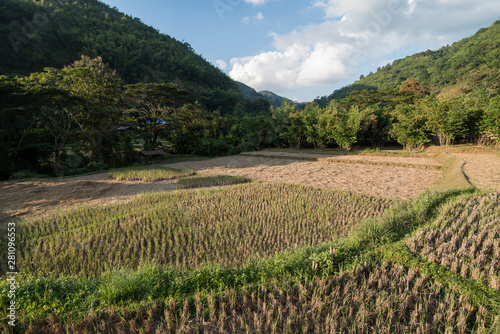 THAILAND PHRAE RICE FIELD BAN NAKHUHA