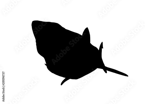 Graphical silhouette of shark isolated on white background,vector illustration for tattoo,printing,logo