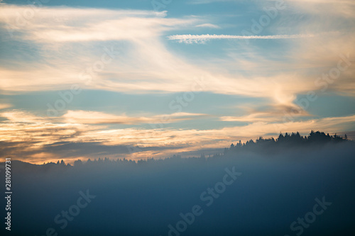 Foggy morning