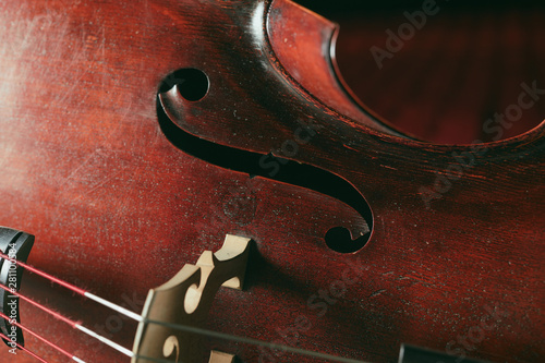 Double bass close-up