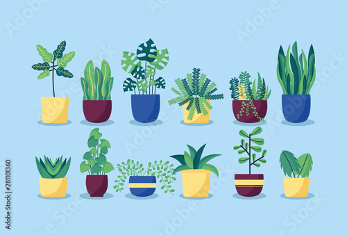 decorative plants flat image design