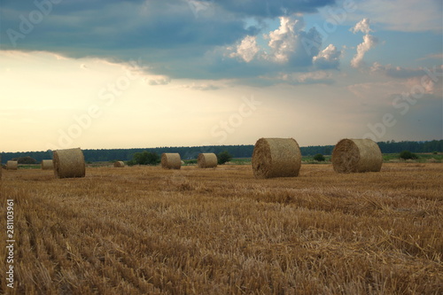 bales of hay in a field