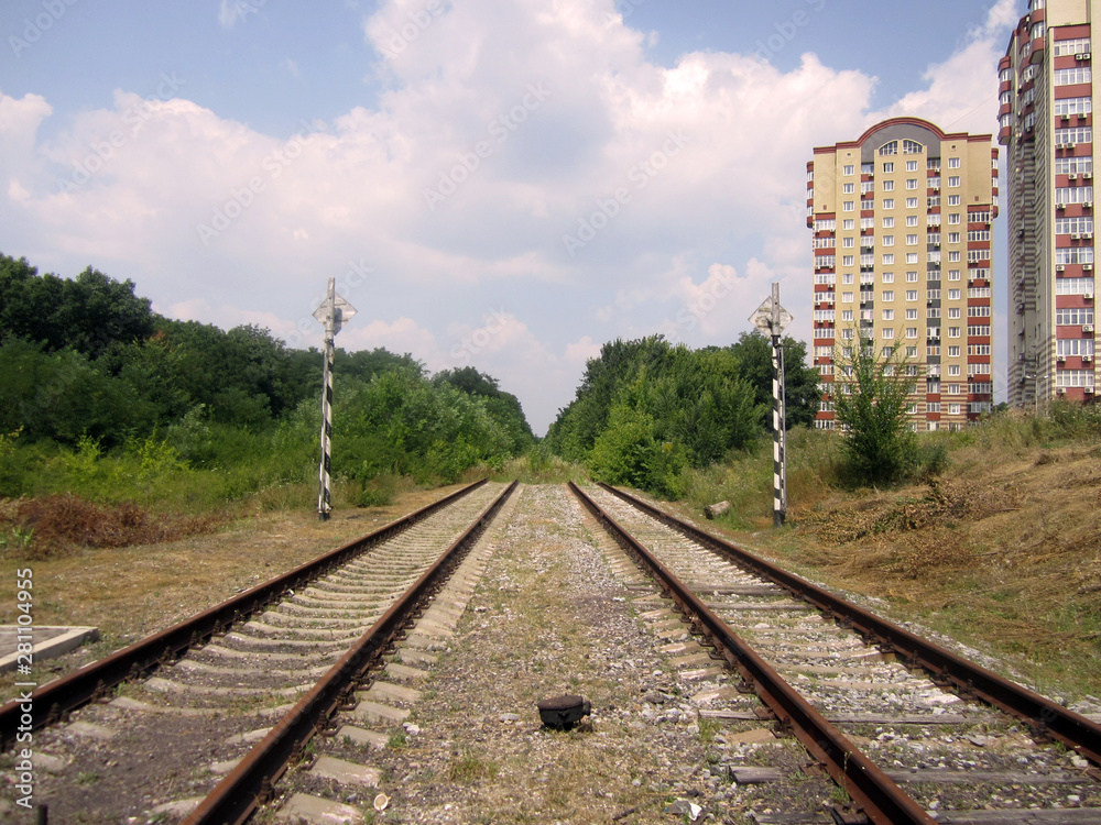 Naklejka premium railway in the wood