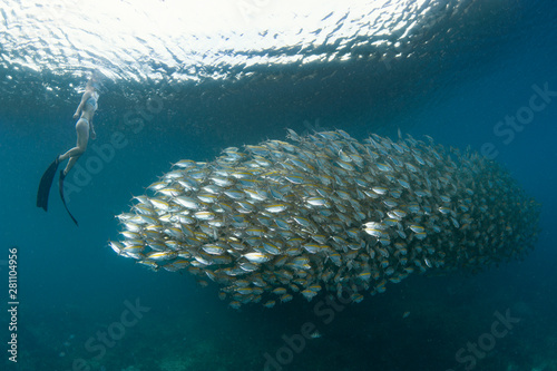 Underwater view of scuba diver swimming besides shoal of fish