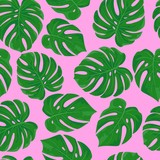 Vector background with tropical green leaves of monstera on modern perfect pink. Cute seamless pattern with exotic plant for print, textile, fabric, decor, summer design. Hand drawn tropic leaves.