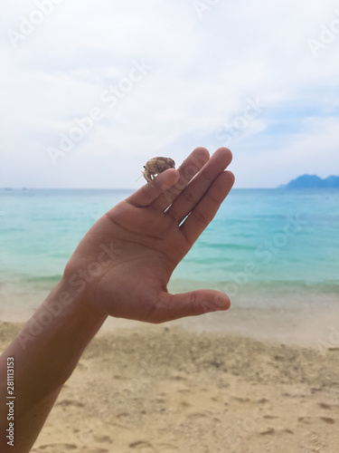 Holding a hermit crab. Holding a snail that has a hermit crab inside, Overlooking the beach and sea.