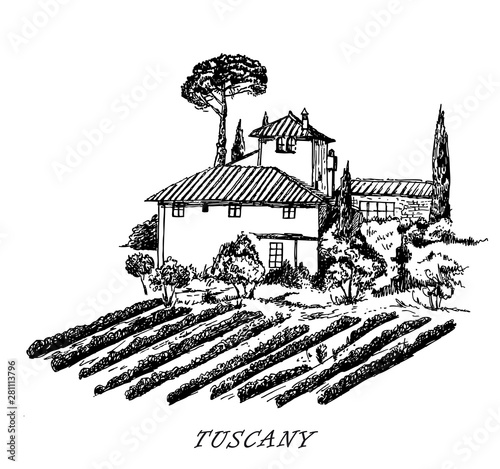 Tuscany. Italy. Rural landscape. Vintage design sketched vector