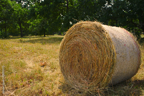Strohballen am Wald