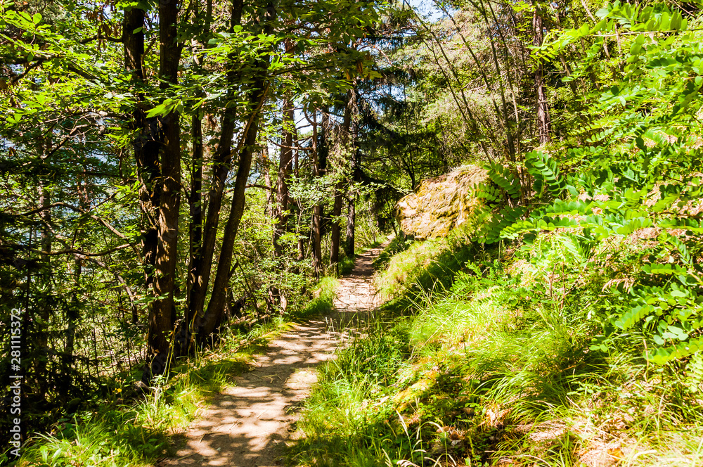 Obraz premium Dorf Tirol, Herrschaftsweg, Tiroler Kreuz, Wanderweg, Wald, Schlosswald, Laubwald Vinschgau, Südtirol, Sommer, Italien