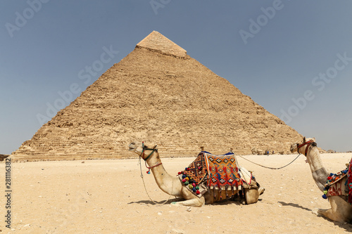 Pyramid of Khafre in Giza Pyramid Complex  Cairo  Egypt