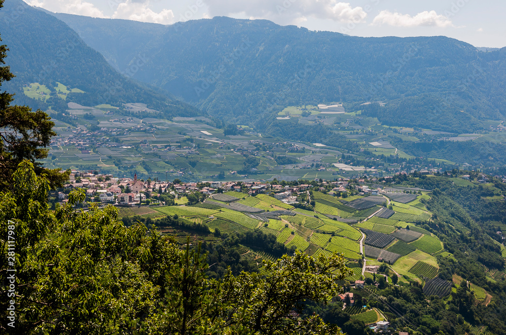 Dorf Tirol, Waalweg, Weinberg, Wanderweg, Obstbäume, Meranerland, Vinschgau, Südtirol, Sommer, Italien