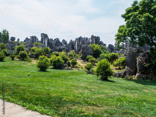 Rock formations with trees and bushes between them at Stone Forest in the county "Shilin" (Yunnan Province - China).