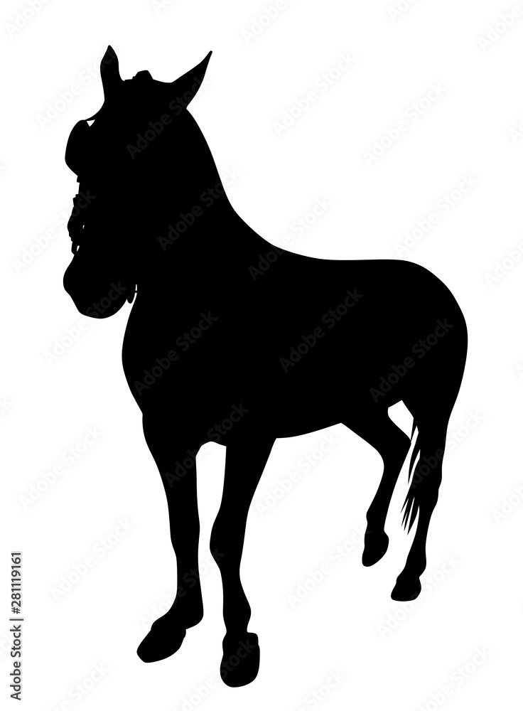 Horse standing silhouette