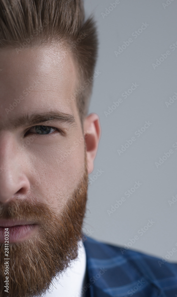 Obraz premium half portrait of stylish handsome bearded businessman looking at camera isolated on grey
