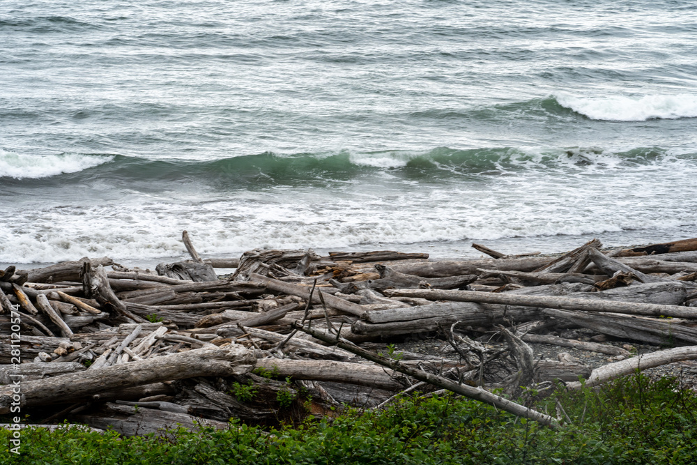 Driftwood piles on the shores of Ruby Beach in Olympic National Park in Washington State