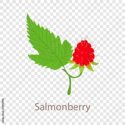 Salmonberry icon. Isometric illustration of salmonberry vector icon for web