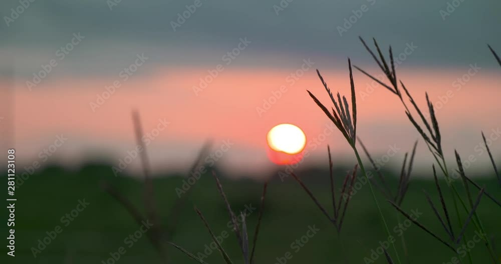 kansas sunset grasses bluestem summer