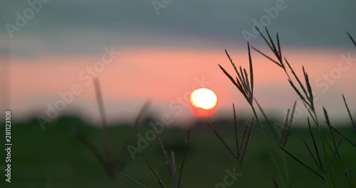 kansas sunset grasses bluestem summer photo
